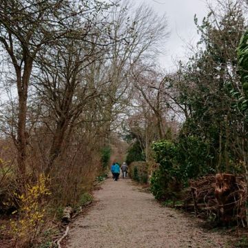 het was een dag met veel wind en iedereen heeft flink aangepakt, nu maar hopen dat de damesringslangen het een fijne plek vinden om hun eieren te leggen