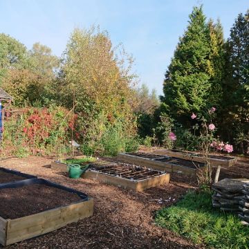 moestuinbakken op gemeenschappelijke tuin94