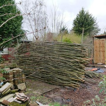 op onze gemeenschapstuin (94) is een wand van wilgentenen gevlochten en er staat inmiddels een wc huisje