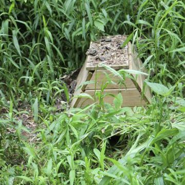 Op onze openbare tuin genaamd 'De Wijde Blick' (achter het clubhuis) wordt ook zoveel mogelijk aan Natuurlijk Tuinieren gedaan.
Dit is een egelhuisje, verscholen tussen de herfstasters.