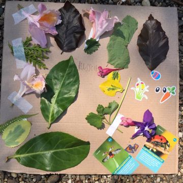 Natuurkunstwerkje 1
